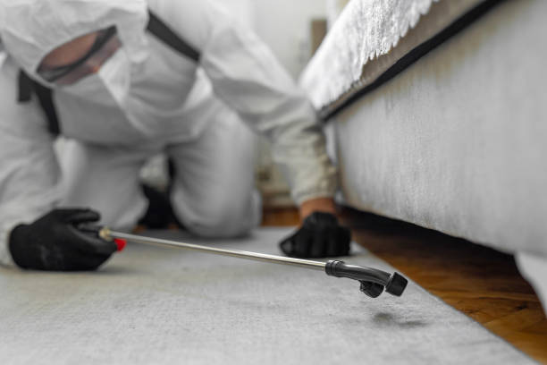 Professional Cockroach Control technician working in Morganton, NC
