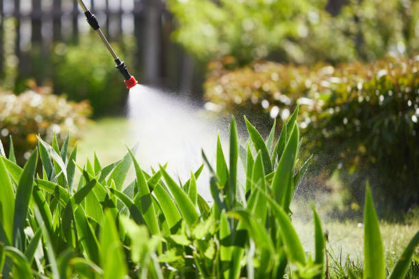 24/7 Emergency Cockroach Control experts in Morganton, NC